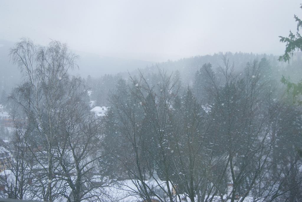 Villa Avangarda Szklarska Poręba Quarto foto